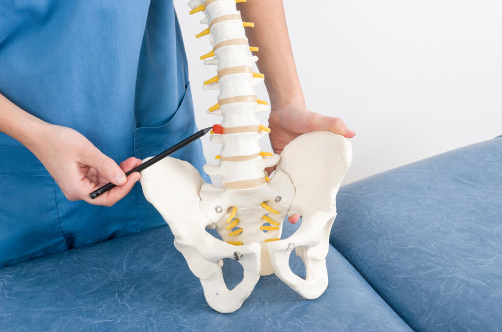 A woman pointing to a skeleton model to show a herniated disc in El Paso.